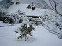 12-02-2010 09h16 19